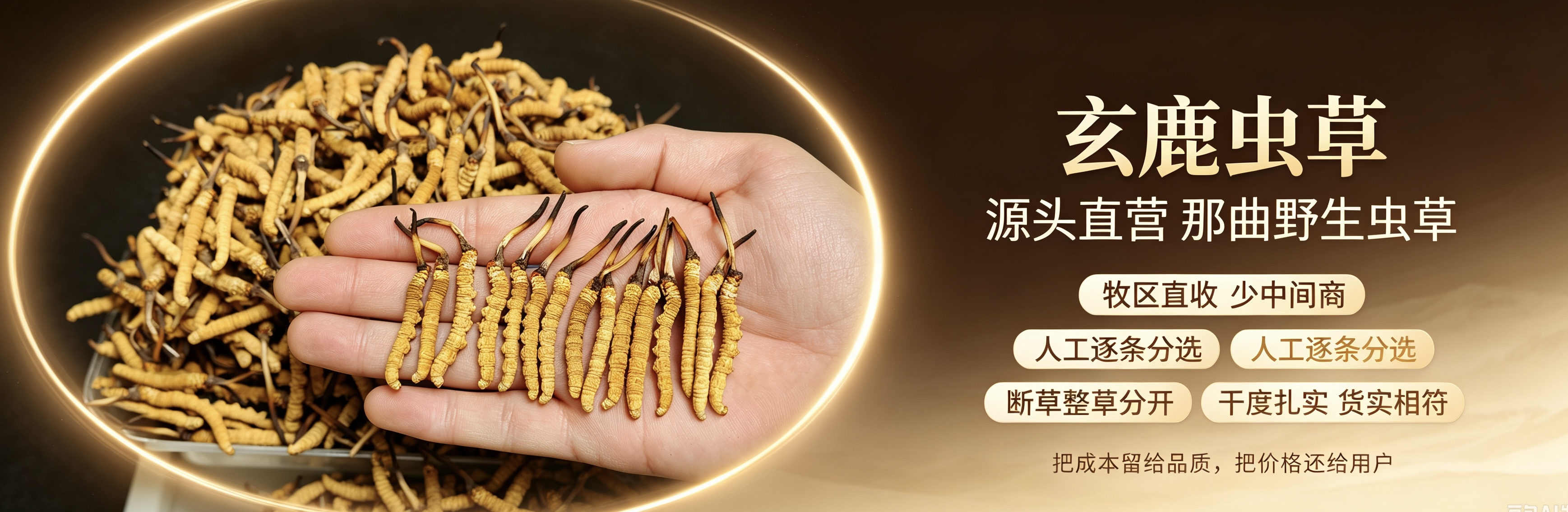 玄鹿虫草